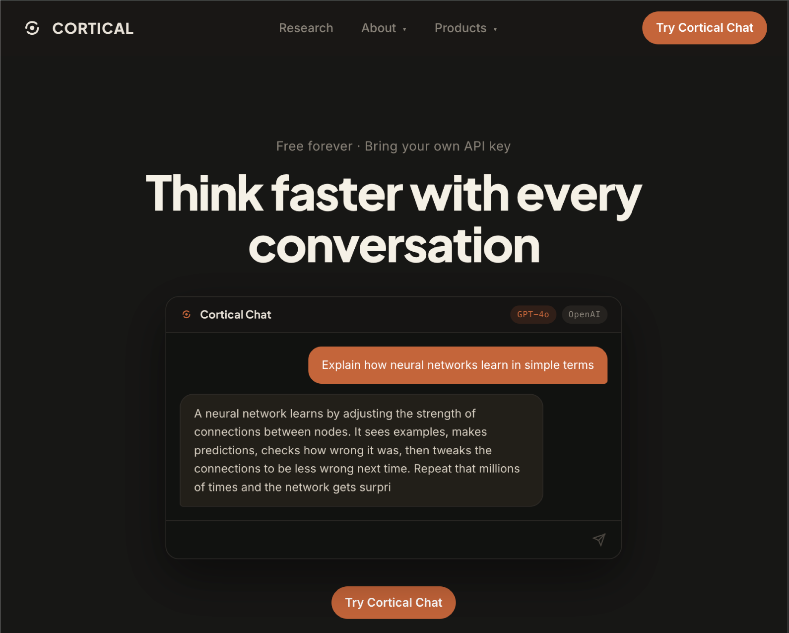 TIZZLE website and interface project 8